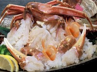 活ブランド松葉ガニのカニ刺しアップ