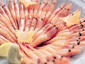【別料理】甘エビお刺身盛り