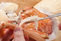 名物焼きガニ「かに かまくら」を割ったところパート2