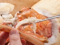 名物「かにかまくら」を食べるところです。